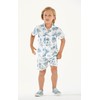 Hawaii Hangover Boy Aloha Luau Shirt Cabana Set in Vintage