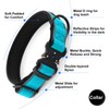 Plutus Pet Tactical Dog Collar, Reflective, Adjustable Heavy Duty Dog