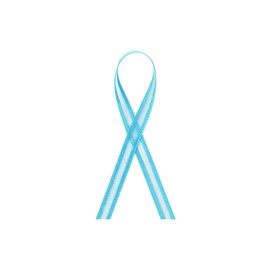 Organza Darice Satin Edge Ribbon Turquoise - 3/8 inch x 25 yds