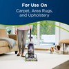 BISSELL 2X Pet Stain & Odor Full Size Machine Formula,
