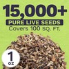 Texas Oklahoma Wildflower Seeds Mixture - Bulk 1 Ounce Packet