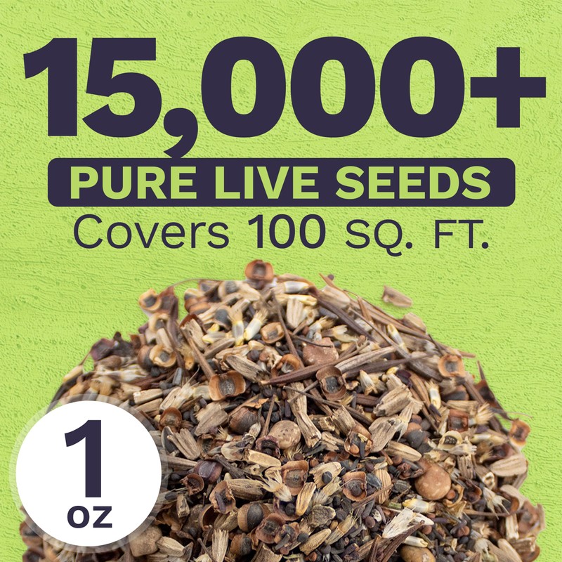 Texas Oklahoma Wildflower Seeds Mixture - Bulk 1 Ounce Packet
