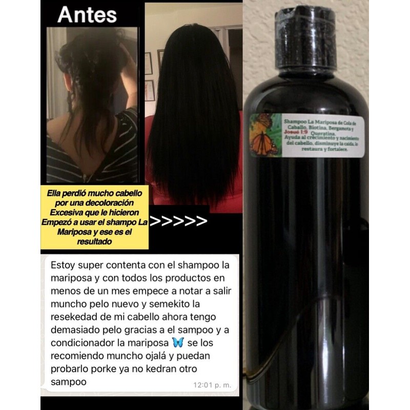 Shampoo De Cola De Caballo, Romero Aloe Vera Crecimiento De