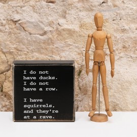 LITIVY Funny Desk Sign I Do Not Have Ducks. I Do Not Have a Row. I Have Squirrels, And They're At a Rave. Small Desk Sign (4.5 X 4.5 Inch, Black)