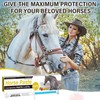 6 Pack Equine Paste 1.87% – 6.08g Each Apple Flavored