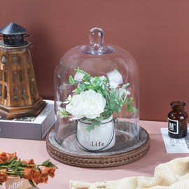 Generic Large Handmade Sturdy Glass Cloche With Brown Beaded Wooden BaseIn Farmhouse Style, For Terrarium, Trinkets, Cakes, Figurines. (1, 7.48""x10.6"" WOODEN BASE), clear