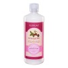 Shampoo Renovador Anticaida Colageno 1lt. Florigan