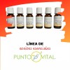 Punto Vital Aceite Esencial Menta, 100% Puro, Aromaterapia, 15ml