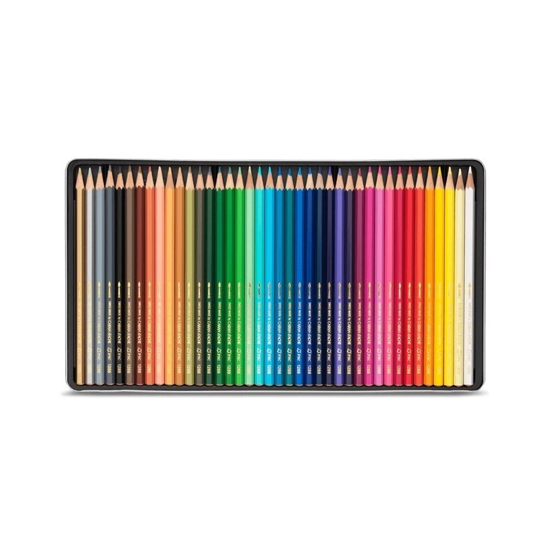 Caran d'Ache Fancolor 40 Water Soluble Colour Pencils Artist Sketching