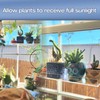 2-Pack 12 Inch Window Plant Shelves - Acrylic Suction Cup
