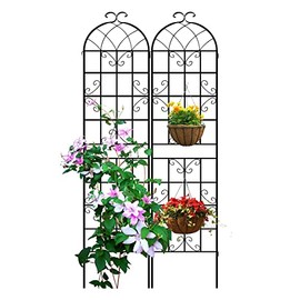 LZRS 2 Pack Rustic Garden Trellis with Black Coating Decorative Potted for Climbing Outdoor Roses Vines Flower Vegetable Supports