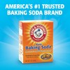 Arm & Hammer Odor Busterz Balls for Long Lasting Freshness,