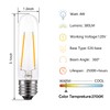 T10 Edison LED Tube Bulbs - Warm White, 2700K, Dimmable