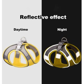 Harness Small Sized Dog, No-Pull Puppy Vest with Leash Set, Breathable Mesh Reflective Pet Harnesses for Outdoor Walking for XXS Xs Small Medium Breed Dogs Cats, Orange M