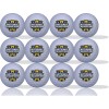 Michigan National Champions White Golf Balls 12 Pack - Great