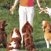 Geeyteek Dog Toys for Aggressive Chewers, 2 Pack Nylon Durable