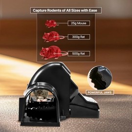 Tougher Than Tom Sure-Catch Rat Trap (2-Pack) - Heavy Duty & Quick-Kill Power - Easy to Set with No-Touch Disposal Design Mouse Trap - Reusable Indoor & Outdoor Rodent Trap