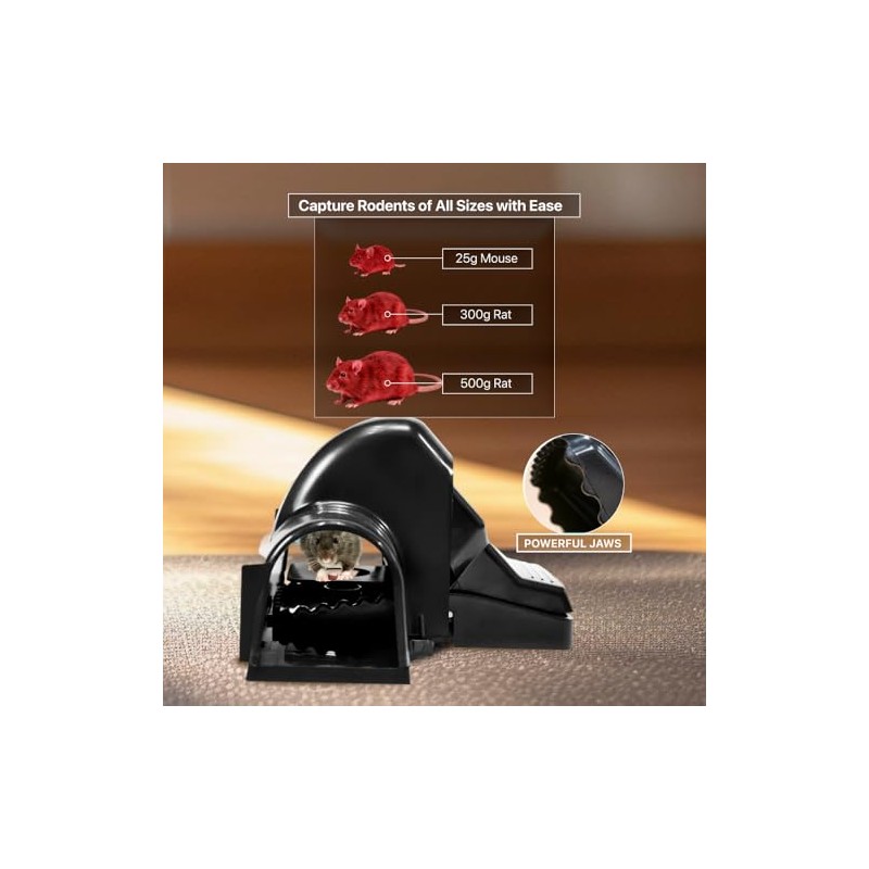 Tougher Than Tom Sure-Catch Rat Trap (2-Pack) - Heavy Duty