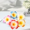Mezrkuwr Pack of 10 Hawaii Flower Hair Clips, Flower Hair