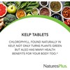 NaturesPlus Icelandic Kelp - Natural Iodine Supplement from Kelp, Easy
