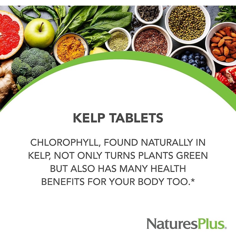 NaturesPlus Icelandic Kelp - Natural Iodine Supplement from Kelp, Easy