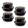 XTPTFABS 81143 Hub Dust Caps Compatible With Dexter Vortex, K71-G01-73