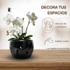 Maceta De Cerámica Esmalte Negro Para Orquídeas Pequeñas Calada Redonda