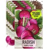 Seed Needs Radish Seeds for Planting Purple Plum Radishes -