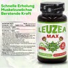 Leuzea Max Maral Root 60 Tablets x 200 mg Natural