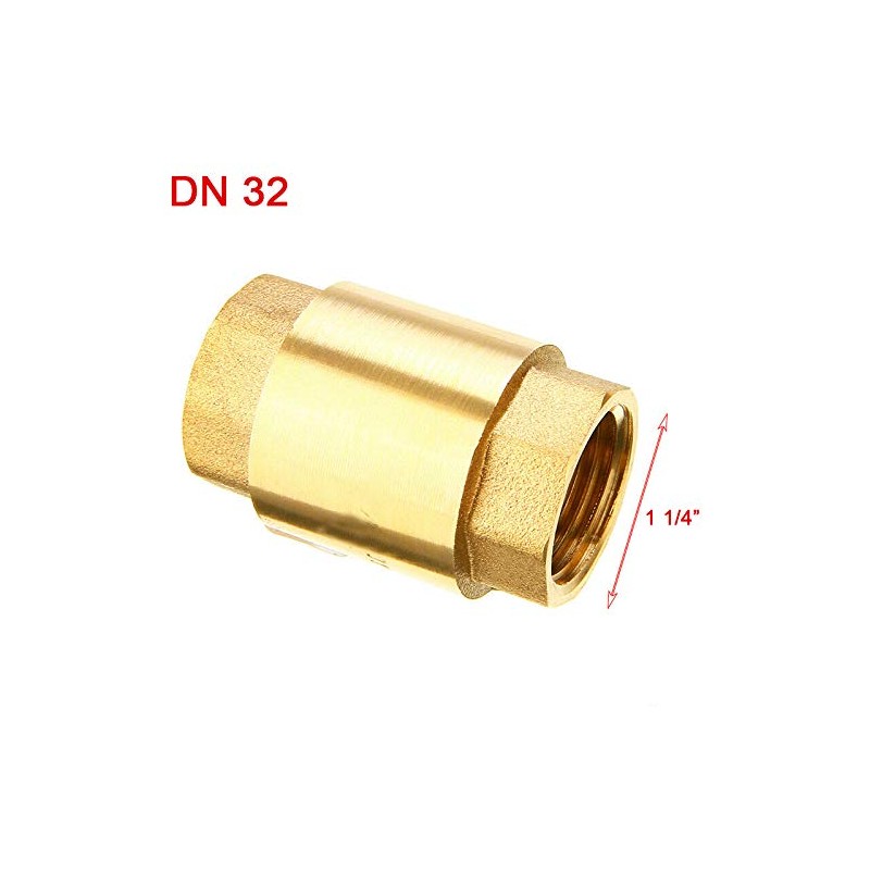 SUPERTOOL Spring Check Valve DN32 1 1/4 Inch Single Check