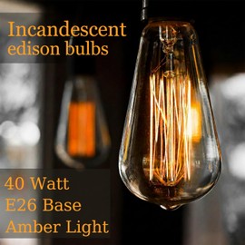 GOENDR E26 40W Edison Bulbs, ST64 Vintage Incandescent Light Bulbs, 2700K Warm Dimmable, Squirrel Cage Filament Bulb for Table Lamp Home Antique Decorative, 4 Pack