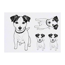 Azeeda 4 x 'Jack Russell Terrier' Temporäre Tattoos - Wasserfest, Hautfreundlich & Ungiftig · Transfers in Verschiedenen Größen (TO00076904)