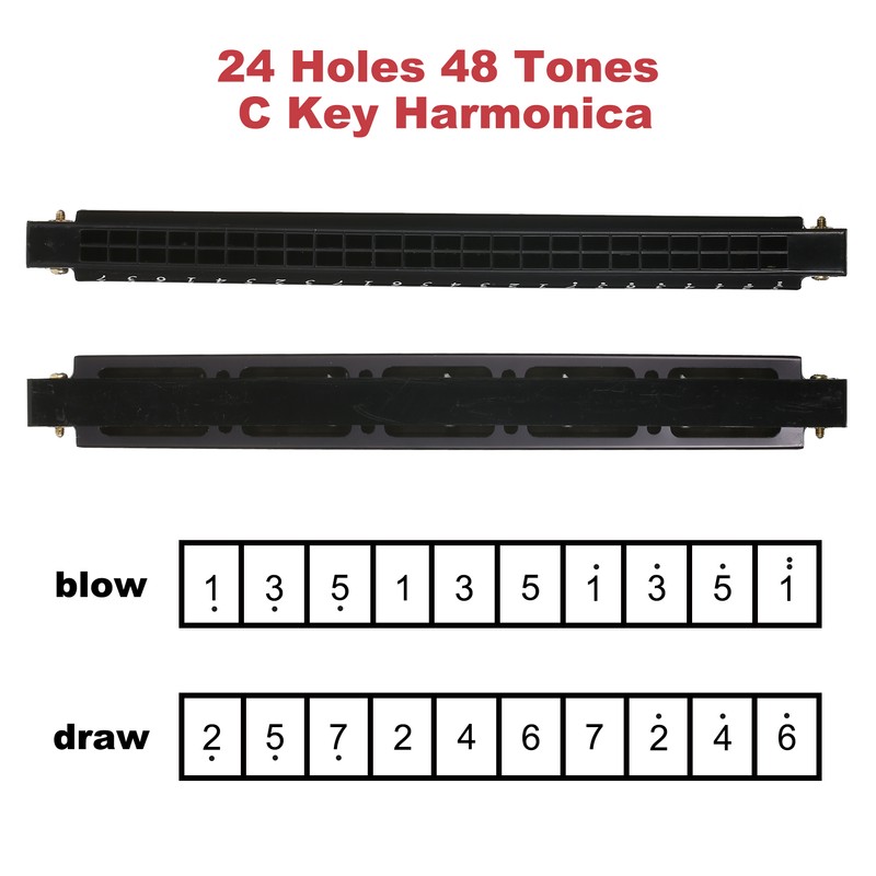 Harmonica Professional Harp Armonica Key of C 24 Hole Polyphony
