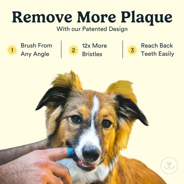 Jasper Jasper Dog Toothbrush, 360 Degree Pet Tooth Brushing Kit,