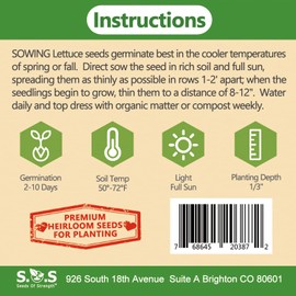 1 Variety Vegetable Seed, 3g Buttercrunch Lettuce Seeds for Planting (Buttercrunch Lettuce)