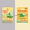Bálsamo Labial Burt's Bees Pepino y Menta 4.25 G