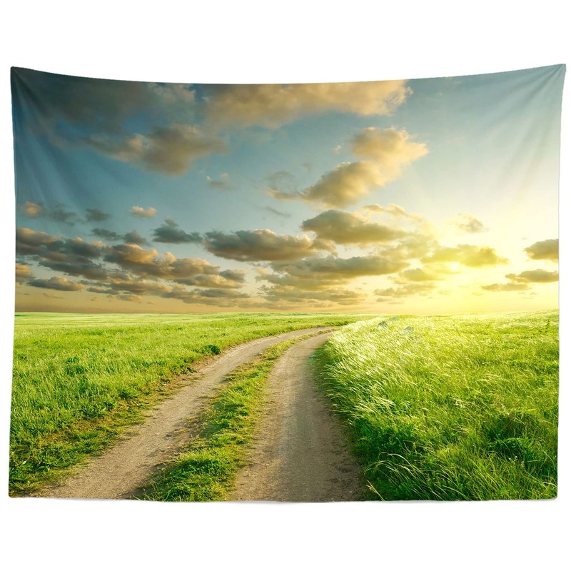 Loccor Fabric 6x4ft Sky Backdrop Summer Landscape Green Grass Road