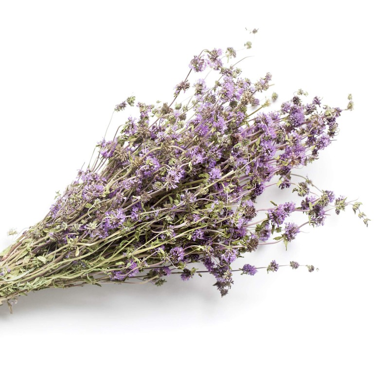 Outsidepride Pennyroyal Flower - 5000 Seeds
