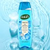 Dalan Fresh Body Wash Sea Mineral Scented Body Cleanser 450ml
