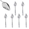YIUIRUOI 6 Stainless Steel Pet Feeding Spoons, Parrot Feeding Tool,