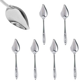 YIUIRUOI 6 Stainless Steel Pet Feeding Spoons, Parrot Feeding Tool, Chick Bird Feeder.