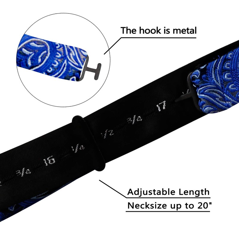 Alizeal Mens 2pcs Gradient Color Classic Paisley Self-tied Bow Tie