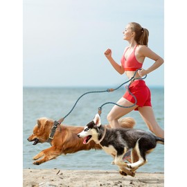 Mile High Life Double Dogs Leather Tailor Handle Mountain Climbing Dog Rope Leash 8FT with Heavy Duty Metal Sturdy Clasp (Blue)