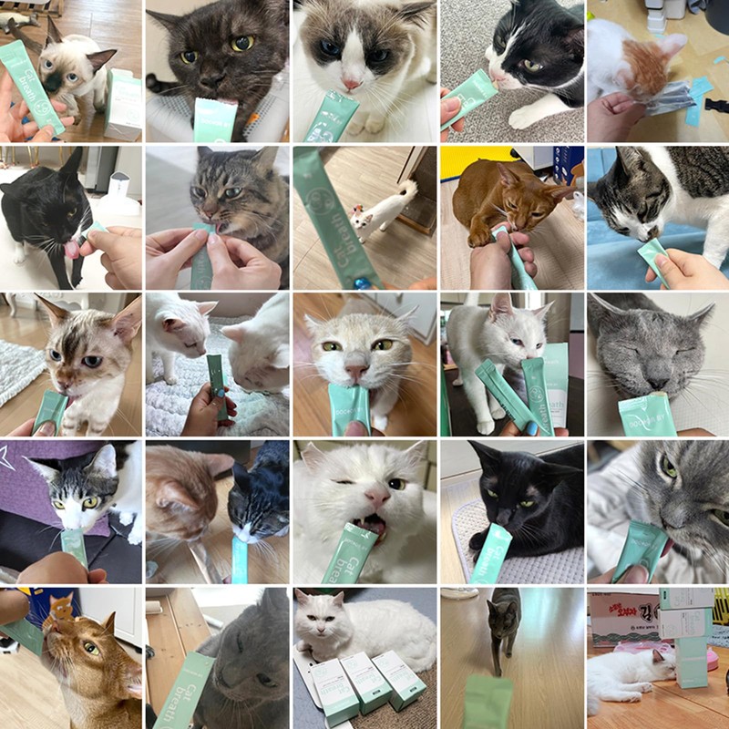DOCTOR BY Cat Breath Cat Supplement