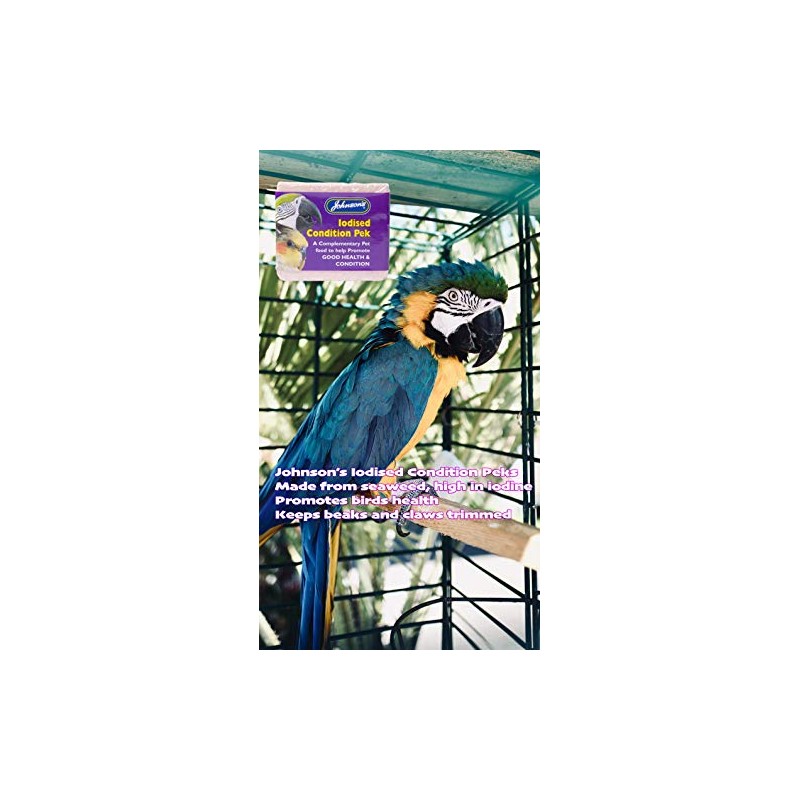 Johnson's Vet Macaw Large Bird Perch, Light Brown Wood, Contains
