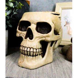 Ebros DOD Ossuary Skull Cranium Coaster Set Statue Holder W/6 Coasters