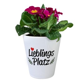 Lieblingsplatz Flower Pot with Heart and Decoration Women Special Planter Decorations Garden Party Charming Garden Green Branches Hearts