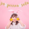 Yo Perreo Sola Banner Bad Bunny Decoración para fiesta de