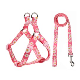 Olahibi Pink Daisy Pattern Basic Dog Halter Harness and Leash Set, No Pull, Easy Wear for Small Dogs.(S, Pink Daisy)