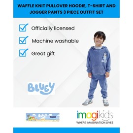 Bluey Toddler Boys Fleece Waffle Knit Pullover Hoodie T-Shirt and Jogger Pants 3 Piece Outfit Set Blue/Gray 4T